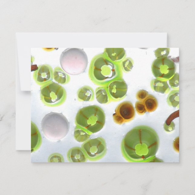 ガーデンナンバー10 (正面)