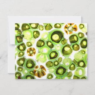 ガーデンナンバー11