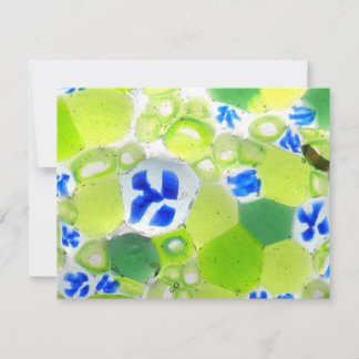 ガーデンナンバー6