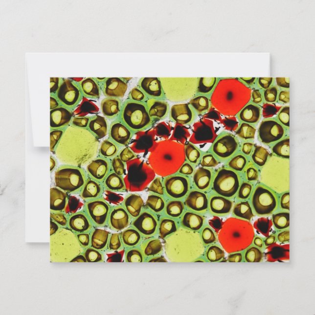 ガーデンナンバー9 (正面)