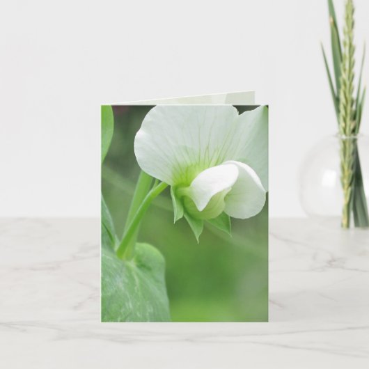 ガーデンノテカードフォー任意の大事な行事 カード (正面)