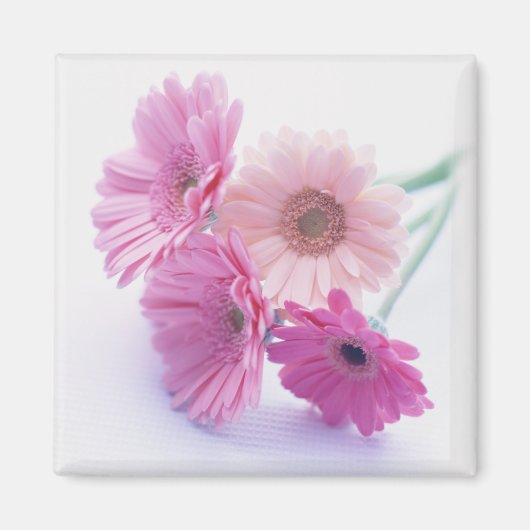 ガーデンバウンティ8 マグネット (正面)