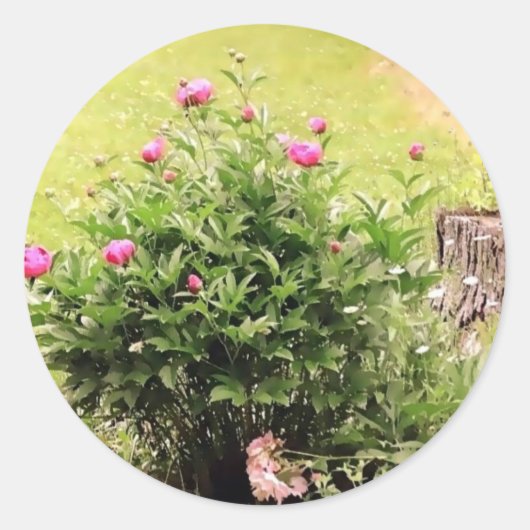 ガーデンバラシール ラウンドシール (正面)