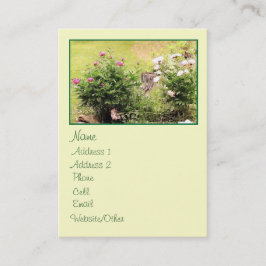 ガーデンバラ大輪郭 名刺