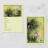 ガーデンバラ大輪郭 名刺 (正面/裏面)