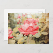 ガーデンバラ ポストカード (正面/裏面)