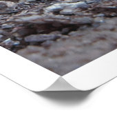 ガーデンバリースマッシュルーム ポスター (角)