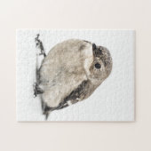 ガーデンバード ジグソーパズル (横)