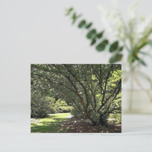 ガーデンパスバイマークエドワードウェスタフィールド ポストカード (スタンド正面)