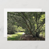 ガーデンパスバイマークエドワードウェスタフィールド ポストカード (正面/裏面)