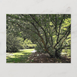 ガーデンパスバイマークエドワードウェスタフィールド ポストカード