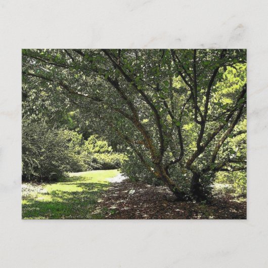 ガーデンパスバイマークエドワードウェスタフィールド ポストカード (正面)