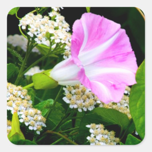 ガーデンパーティーフローラシール スクエアシール (正面)