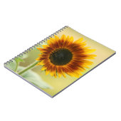 ガーデンヒマワリ ノートブック (左側)