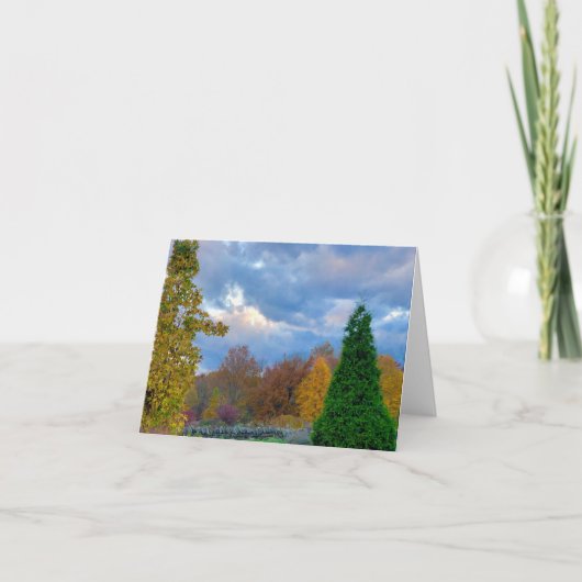 ガーデンビュードリームビッグノートカード サンキューカード (正面)