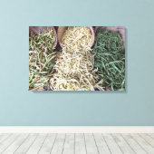 ガーデンビーンズ キャンバスプリント (インサイチュ (ウッドフロア))