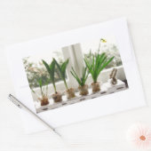 ガーデンフォト 長方形シール (封筒)