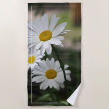 ガーデンフラワーデイジー