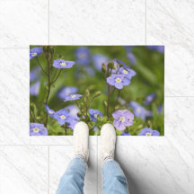 ガーデンフラワー開花