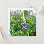 ガーデンフランスのルピネカード カード (正面/裏面インサイチュ)