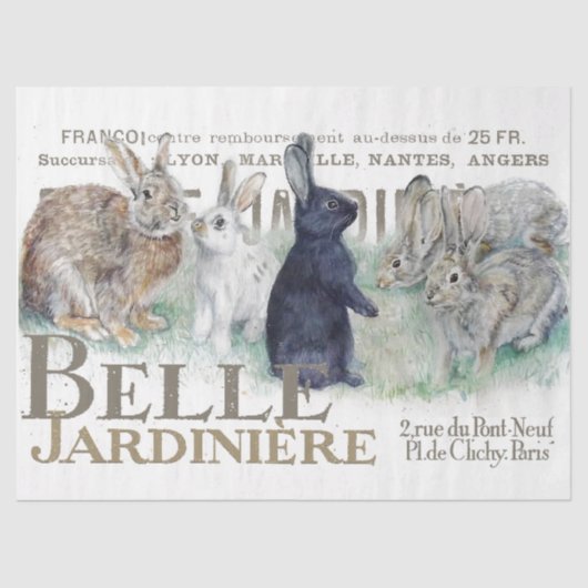 ガーデンフランスのヴィンテージバニーラビットデカップタイプ 薄葉紙 (正面)