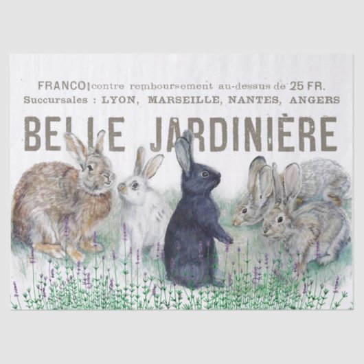 ガーデンフランスのヴィンテージバニーラビットデクページ開花 薄葉紙 (正面)