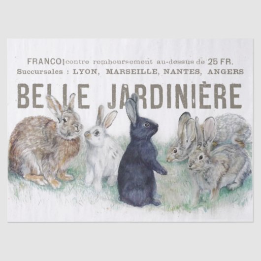 ガーデンフランスのヴィンテージバニーラビットデクページ 薄葉紙 (正面)