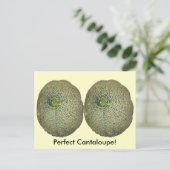 ガーデンフレッシュカンタループ ポストカード (スタンド正面)