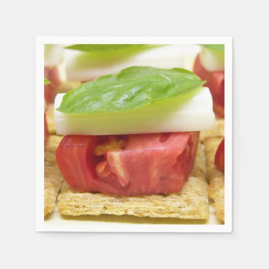 ガーデンフレッシュトリート スタンダードカクテルナプキン (正面)