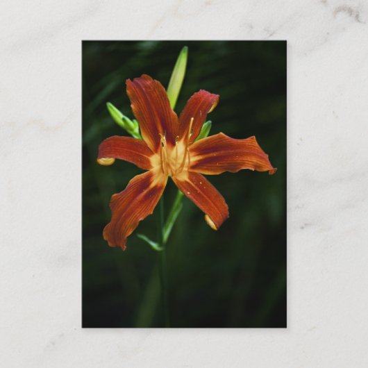 ガーデンフレームミニプリント 名刺 (正面)