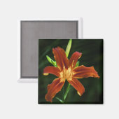 ガーデンフレーム磁石 マグネット (正面/裏面)