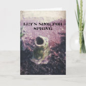 ガーデンフロッグ カード (正面)