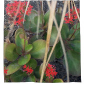 ガーデンブリーズ シャワーカーテン (正面)