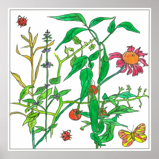 ガーデンプラントコンフロアーテンジババタフライ ポスター (正面)