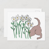 ガーデンヘルパー(犬のデイジー)葉書 シーズンポストカード (正面/裏面)