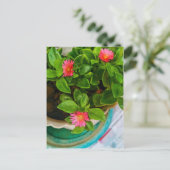 ガーデンベビーサンバラプラントインアポット ポストカード (スタンド正面)