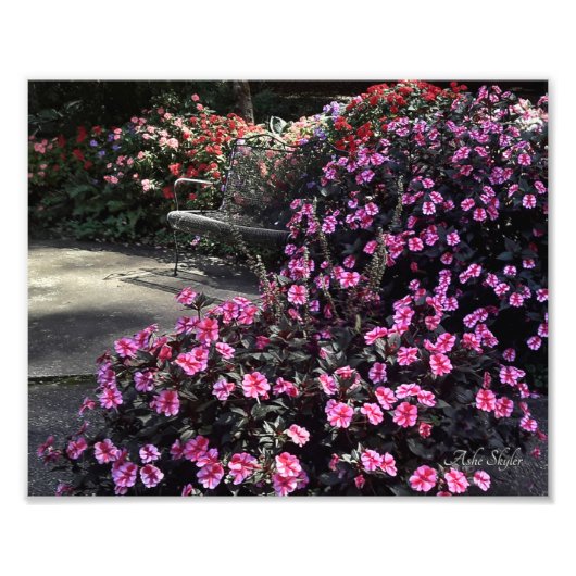 ガーデンベンチ フォトプリント            (正面)