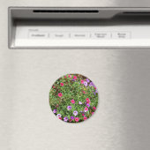 ガーデンペチュニア磁石 マグネット (インサイチュ (食洗機))