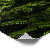 ガーデンポスタ日本のーの木橋 ポスター (角)