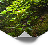 ガーデンポスタ日本のーの木橋 ポスター (角)