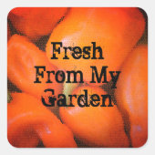 ガーデンモザイクオレンジチリペッパーからフレッシュ スクエアシール (正面)