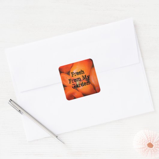 ガーデンモザイクオレンジチリペッパーからフレッシュ スクエアシール (封筒)