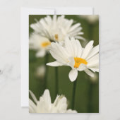 ガーデンランチョンバラクラブ招待状 招待状 (裏面)