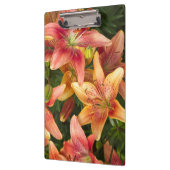 ガーデンリリー クリップボード (左)