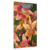 ガーデンリリー クリップボード (右)