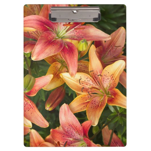 ガーデンリリー クリップボード (正面)