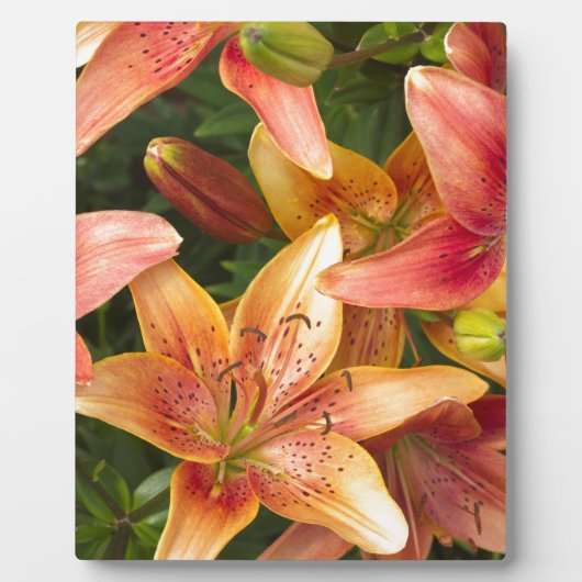 ガーデンリリー フォトプラーク (正面)