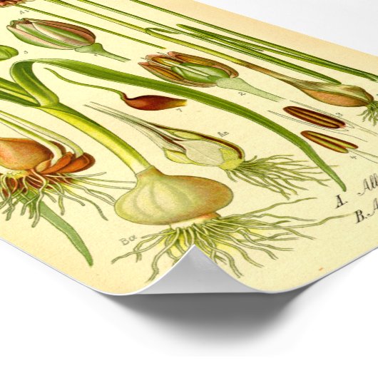 ガーデンリーク ポスター (角)