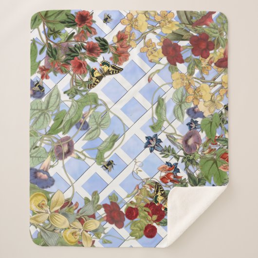 ガーデンヴィネット シェルパブランケット (正面)