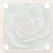 ガーデン多肉質グリーングレートーンリアリスティックアート ガラスコースター (裏面)